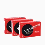Vocalzone Klasik Pastil 24 3'lü
